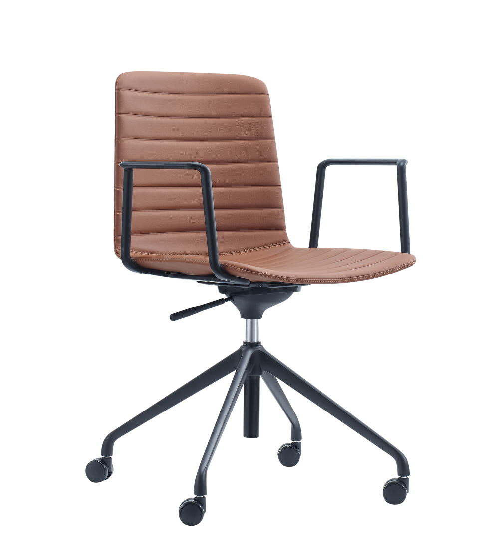 루시드4 /브라운