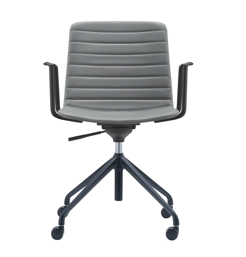 루시드4 그레이50개