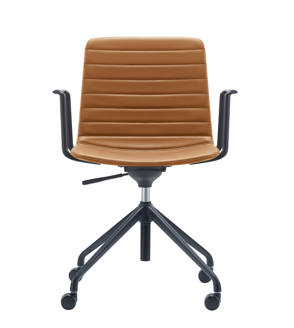 루시드4 /카멜27개