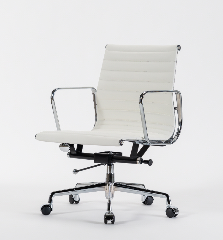 보스톤 로우/화이트33개