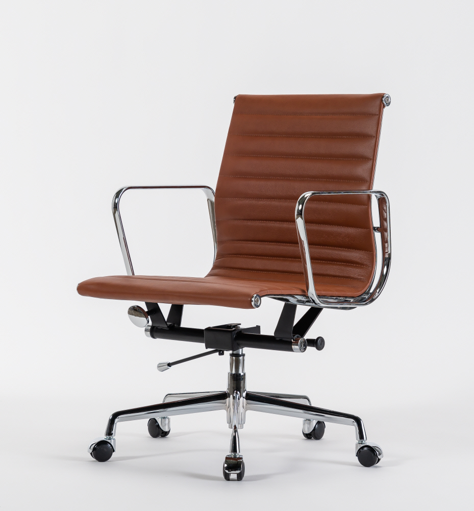 보스톤 로우 / 브라운