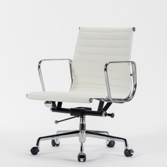 보스톤 로우/화이트33개