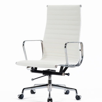 보스톤하이/화이트13개